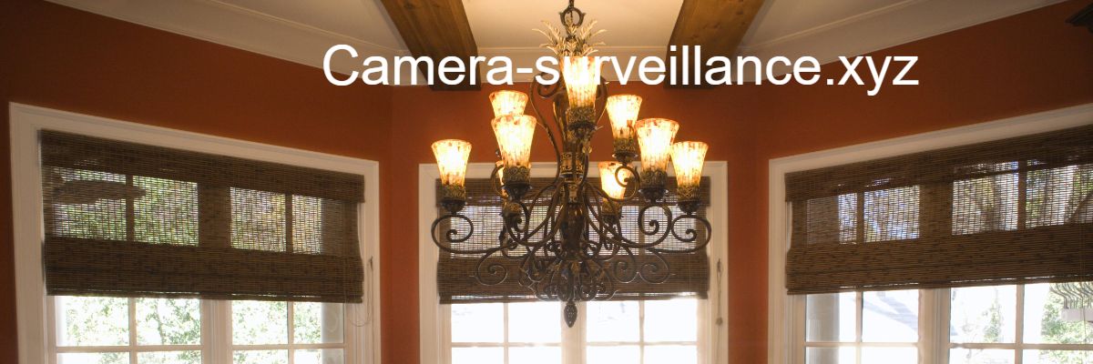 camera-surveillance.ortrax.click
